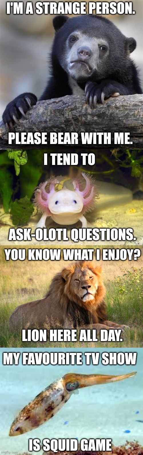 Animal Puns (4 in 1) |  I'M A STRANGE PERSON. PLEASE BEAR WITH ME. I TEND TO; ASK-OLOTL QUESTIONS. YOU KNOW WHAT I ENJOY? LION HERE ALL DAY. MY FAVOURITE TV SHOW; IS SQUID GAME | image tagged in memes,confession bear,axolotl,bad puns,animals,stop reading the tags | made w/ Imgflip meme maker