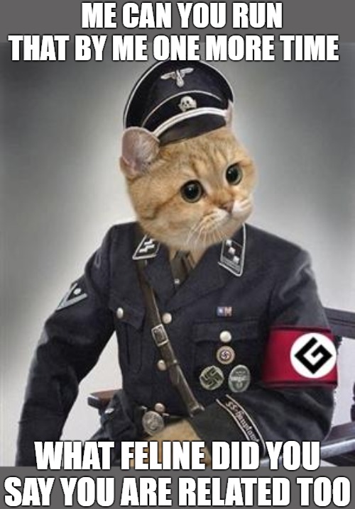 interrogation | ME CAN YOU RUN THAT BY ME ONE MORE TIME; WHAT FELINE DID YOU SAY YOU ARE RELATED TOO | image tagged in grammar nazi cat,cat nazi,grammar nazi | made w/ Imgflip meme maker