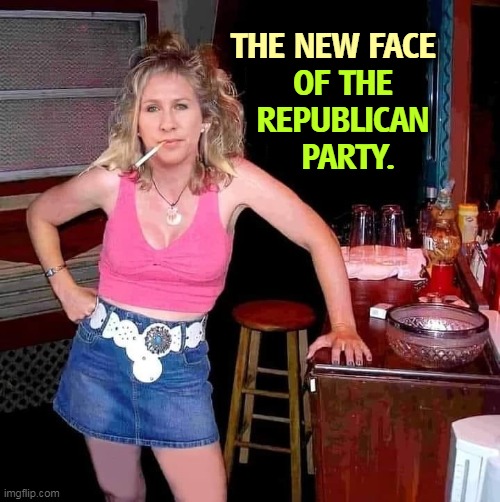Makes ya' downright proud, don't it? | THE NEW FACE; OF THE 
REPUBLICAN 
PARTY. | image tagged in marjorie taylor greene the new face of the republican party,gop,republican party,classy,stay classy | made w/ Imgflip meme maker