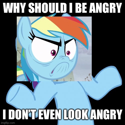 Do I look angry - rainbow dash | WHY SHOULD I BE ANGRY; I DON’T EVEN LOOK ANGRY | image tagged in pony shrugs,rainbow dash,angry | made w/ Imgflip meme maker