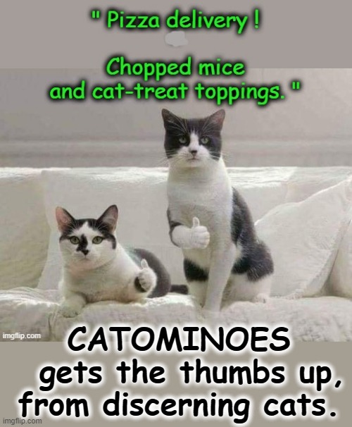 Catominoes | CATOMINOES
  gets the thumbs up,
from discerning cats. | image tagged in pizza cat | made w/ Imgflip meme maker