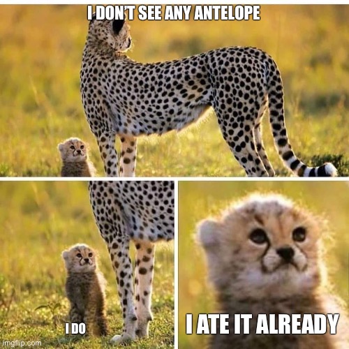 i manage here | I DON’T SEE ANY ANTELOPE; I ATE IT ALREADY; I DO | image tagged in cheetah mom with scared cub | made w/ Imgflip meme maker