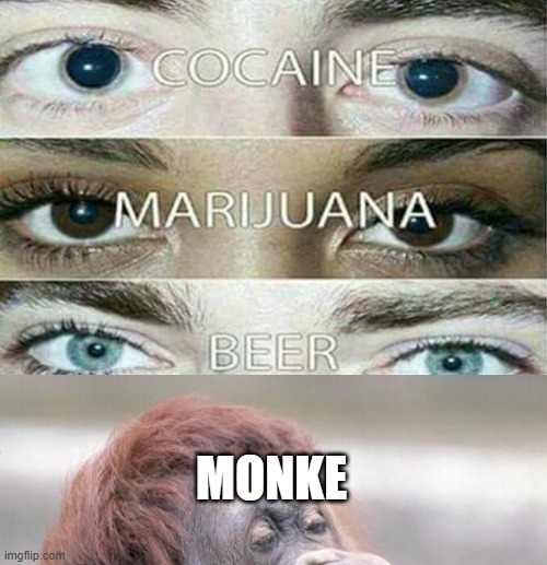  MONKE | image tagged in monkey | made w/ Imgflip meme maker