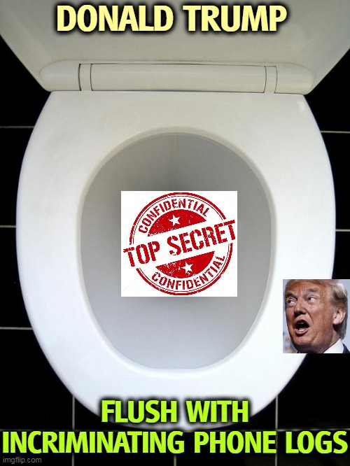 Mar a Cloggo | DONALD TRUMP; FLUSH WITH INCRIMINATING PHONE LOGS | image tagged in toilet,trump,flush,papers,mafia | made w/ Imgflip meme maker