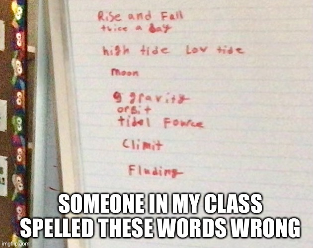 Sorry for the bad photo | SOMEONE IN MY CLASS SPELLED THESE WORDS WRONG | image tagged in lol,spelling error | made w/ Imgflip meme maker