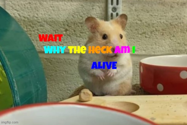 image tagged in why the heck am i alive | made w/ Imgflip meme maker