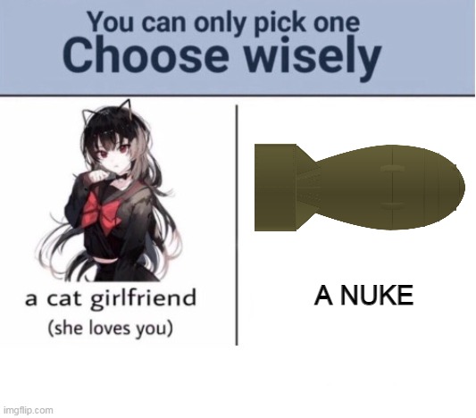 AAAAHHHHHHHH | A NUKE | image tagged in choose wisely | made w/ Imgflip meme maker