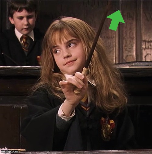 Hermione Assertiva | image tagged in hermione assertiva | made w/ Imgflip meme maker