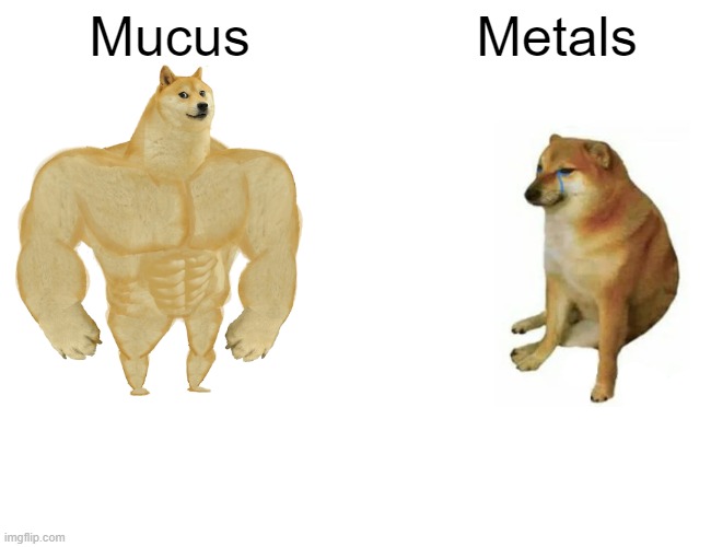 Buff Doge vs. Cheems | Mucus; Metals | image tagged in memes,buff doge vs cheems | made w/ Imgflip meme maker