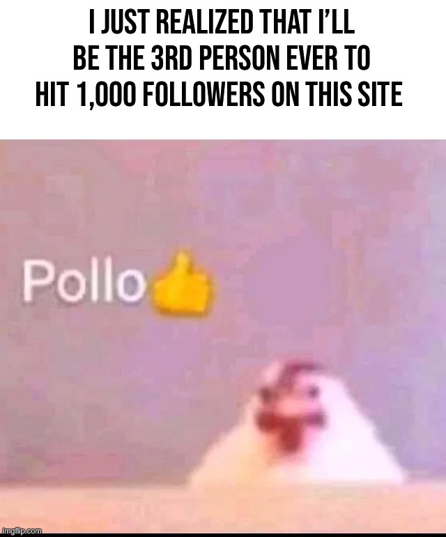 Well shit | I JUST REALIZED THAT I’LL BE THE 3RD PERSON EVER TO HIT 1,000 FOLLOWERS ON THIS SITE | image tagged in pollo | made w/ Imgflip meme maker