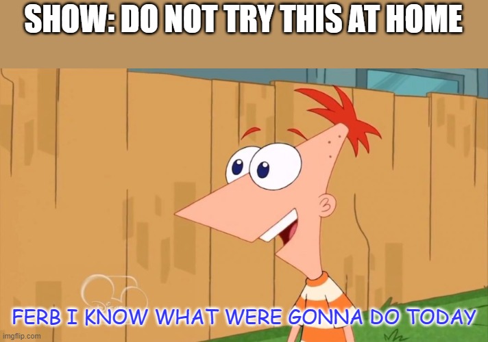 hey | SHOW: DO NOT TRY THIS AT HOME; FERB I KNOW WHAT WERE GONNA DO TODAY | image tagged in yes phineas | made w/ Imgflip meme maker
