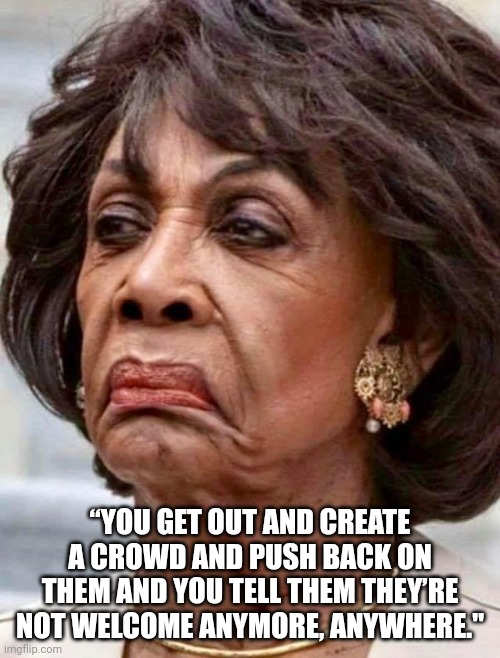 Maxine Waters | “YOU GET OUT AND CREATE A CROWD AND PUSH BACK ON THEM AND YOU TELL THEM THEY’RE NOT WELCOME ANYMORE, ANYWHERE." | image tagged in maxine waters | made w/ Imgflip meme maker