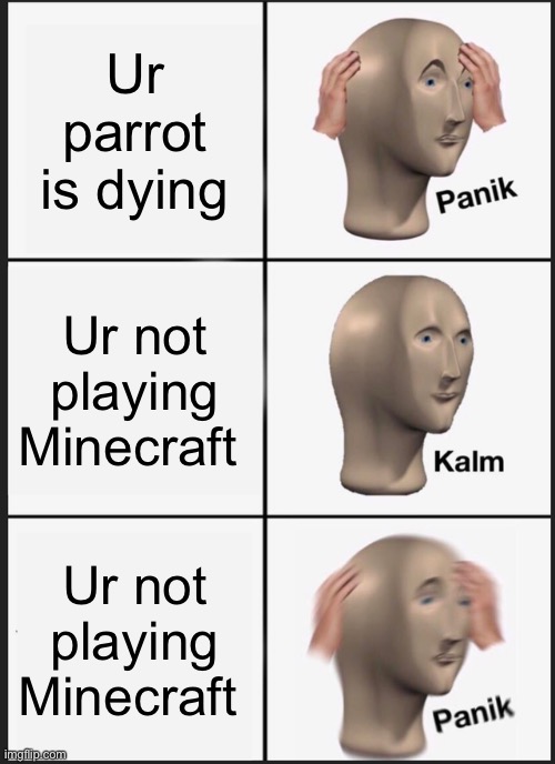 Panik Kalm Panik Meme | Ur parrot is dying; Ur not playing Minecraft; Ur not playing Minecraft | image tagged in memes,panik kalm panik | made w/ Imgflip meme maker