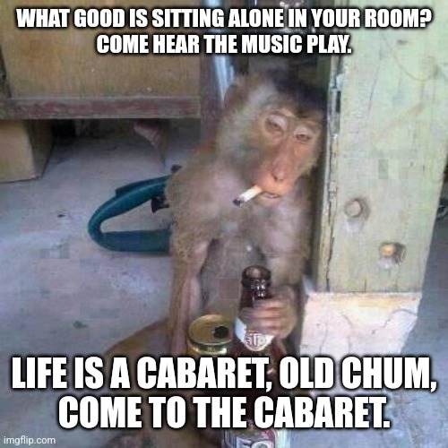 Life is a Cabaret | WHAT GOOD IS SITTING ALONE IN YOUR ROOM?
COME HEAR THE MUSIC PLAY. LIFE IS A CABARET, OLD CHUM,
COME TO THE CABARET. | image tagged in drunken ass monkey,drinking,beer,philosophy,drunk,party | made w/ Imgflip meme maker