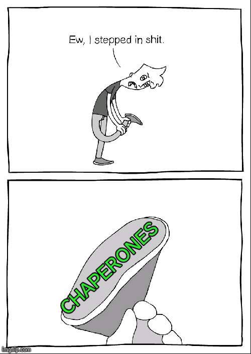 Ew, i stepped in shit | CHAPERONES | image tagged in ew i stepped in shit | made w/ Imgflip meme maker