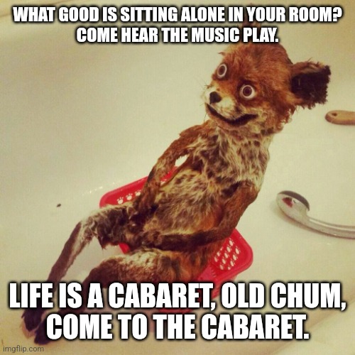 Life is a Cabaret | WHAT GOOD IS SITTING ALONE IN YOUR ROOM?
COME HEAR THE MUSIC PLAY. LIFE IS A CABARET, OLD CHUM,
COME TO THE CABARET. | image tagged in hangover fox,drinking,living the dream | made w/ Imgflip meme maker