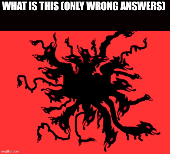 Albanian monster | WHAT IS THIS (ONLY WRONG ANSWERS) | made w/ Imgflip meme maker