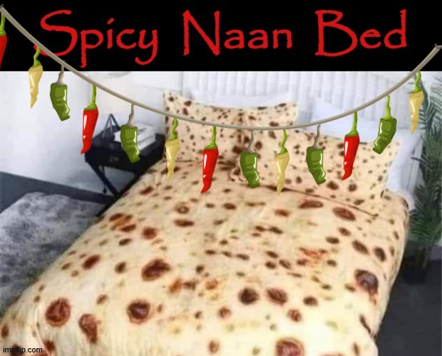 Naan | image tagged in spicy | made w/ Imgflip meme maker