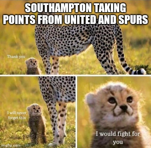 Man utd vs Southampton | SOUTHAMPTON TAKING POINTS FROM UNITED AND SPURS | image tagged in i would fight for you | made w/ Imgflip meme maker