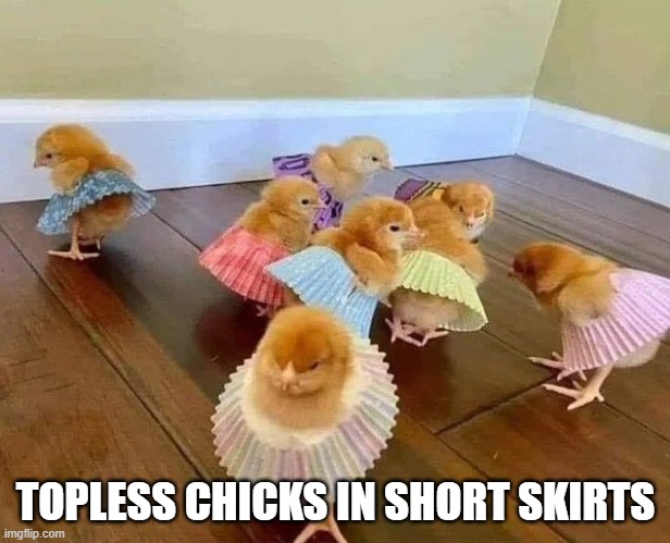 What TikTok promises |  TOPLESS CHICKS IN SHORT SKIRTS | image tagged in chicks,topless,funny | made w/ Imgflip meme maker