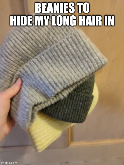 Day 16 of doing something LGBTQ related every day | BEANIES TO HIDE MY LONG HAIR IN | made w/ Imgflip meme maker