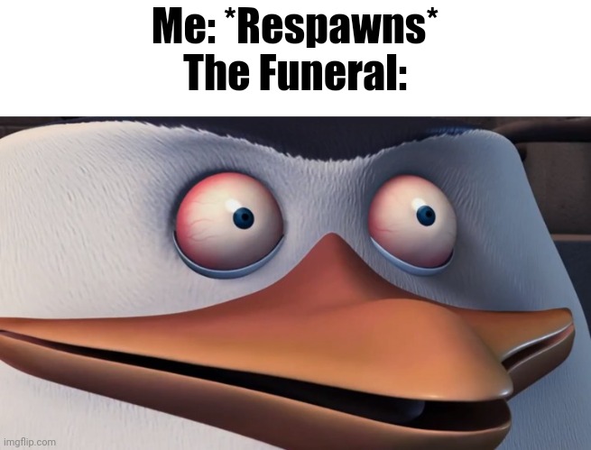 Wth | Me: *Respawns*
The Funeral: | image tagged in shook skipper | made w/ Imgflip meme maker