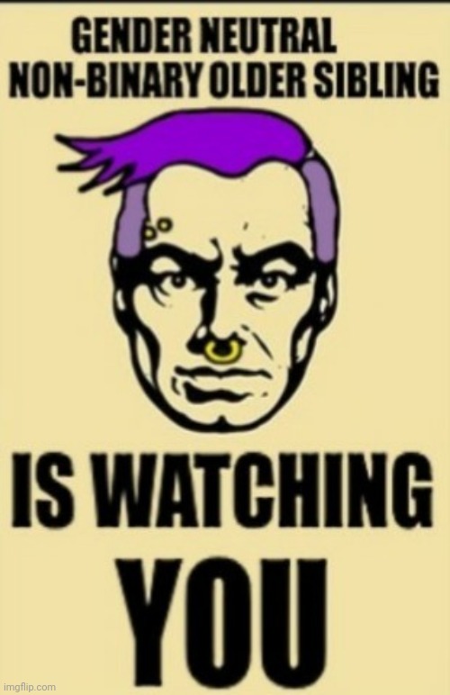 image tagged in gnnbob,they/them/they're always watching | made w/ Imgflip meme maker