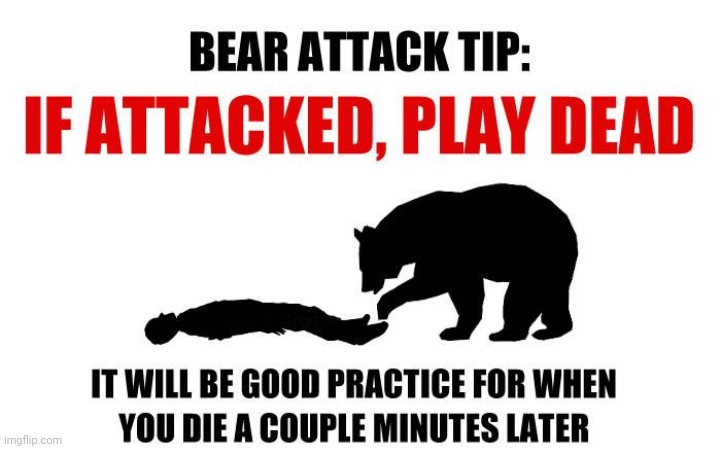 image tagged in bear attack tips | made w/ Imgflip meme maker