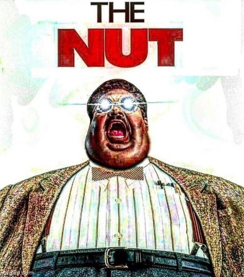 The nut | image tagged in the nut | made w/ Imgflip meme maker