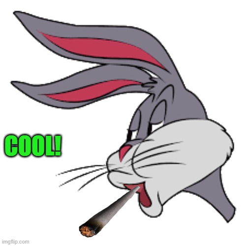 COOL! | image tagged in bunny | made w/ Imgflip meme maker