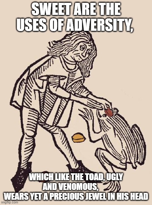 Sweet are the uses of adversity | SWEET ARE THE USES OF ADVERSITY, WHICH LIKE THE TOAD, UGLY AND VENOMOUS,       
WEARS YET A PRECIOUS JEWEL IN HIS HEAD | image tagged in frog,adversity,william shakespeare,jewel | made w/ Imgflip meme maker