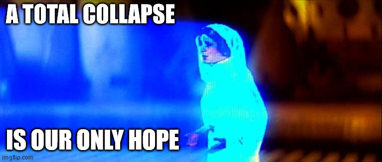 A TOTAL COLLAPSE; IS OUR ONLY HOPE | made w/ Imgflip meme maker