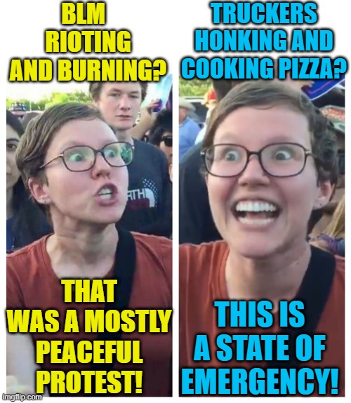 It's only a protest if we say it is! | BLM   RIOTING AND BURNING? TRUCKERS HONKING AND COOKING PIZZA? THAT WAS A MOSTLY PEACEFUL PROTEST! THIS IS A STATE OF EMERGENCY! | image tagged in social justice warrior hypocrisy,political meme,canada,truckers,protesters | made w/ Imgflip meme maker