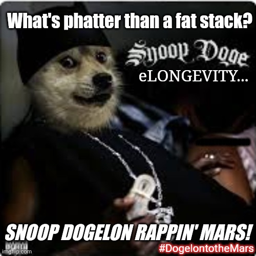 How might Elon Musk indirectly support his baby doggie Dogelon @CRYPTOBOWL?  CRYPTO WHALE$ flashing that Dogelon Blingy? $ELON | What's phatter than a fat stack? eLONGEVITY... #DOGETOTHEMOON; SNOOP DOGELON RAPPIN' MARS! #DogelontotheMars | image tagged in snoop doge,dogecoin,elon musk,mars,cryptocurrency,super bowl | made w/ Imgflip meme maker
