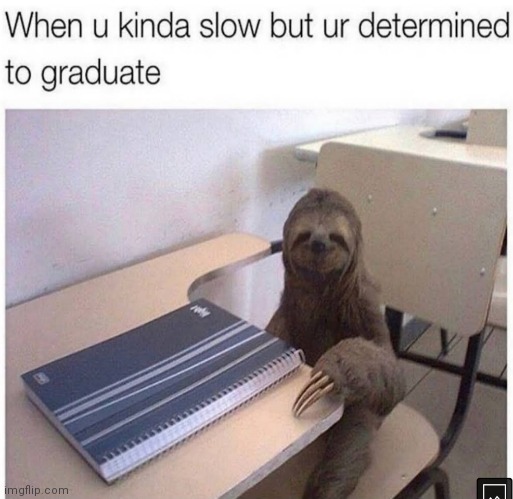 image tagged in memes,slow,graduate,sloth | made w/ Imgflip meme maker