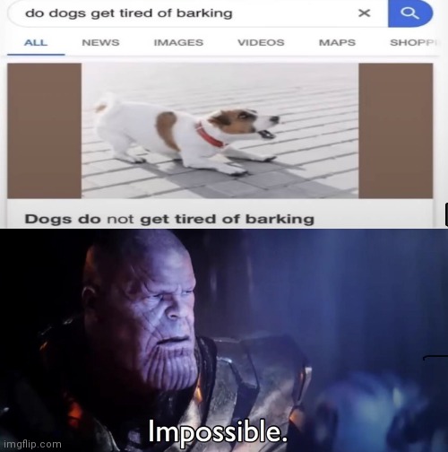 image tagged in thanos impossible,memes,dog,barking | made w/ Imgflip meme maker