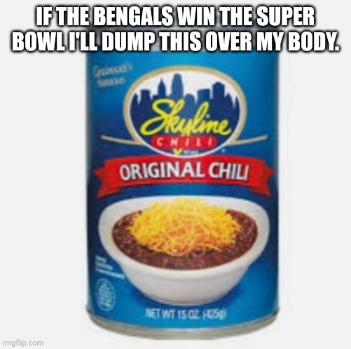 This is why I'm cheering for the bengals | IF THE BENGALS WIN THE SUPER BOWL I'LL DUMP THIS OVER MY BODY. | image tagged in chili,skyline,skyline chili | made w/ Imgflip meme maker