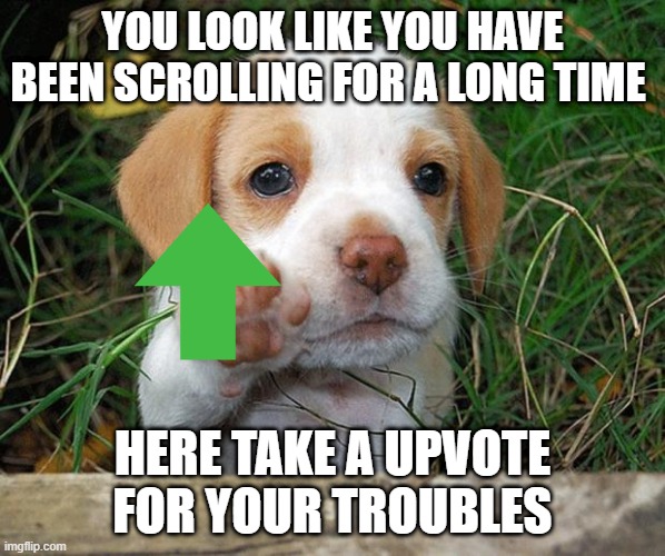 dog puppy bye | YOU LOOK LIKE YOU HAVE BEEN SCROLLING FOR A LONG TIME; HERE TAKE A UPVOTE FOR YOUR TROUBLES | image tagged in dog puppy bye | made w/ Imgflip meme maker