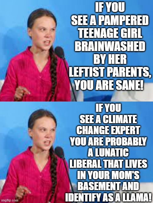 Do you identify as Llama? | IF YOU SEE A PAMPERED TEENAGE GIRL BRAINWASHED BY HER LEFTIST PARENTS, YOU ARE SANE! IF YOU SEE A CLIMATE CHANGE EXPERT YOU ARE PROBABLY A LUNATIC LIBERAL THAT LIVES IN YOUR MOM'S BASEMENT AND IDENTIFY AS A LLAMA! | image tagged in morons,idiots,stupidity,ignorance,greta thunberg how dare you | made w/ Imgflip meme maker