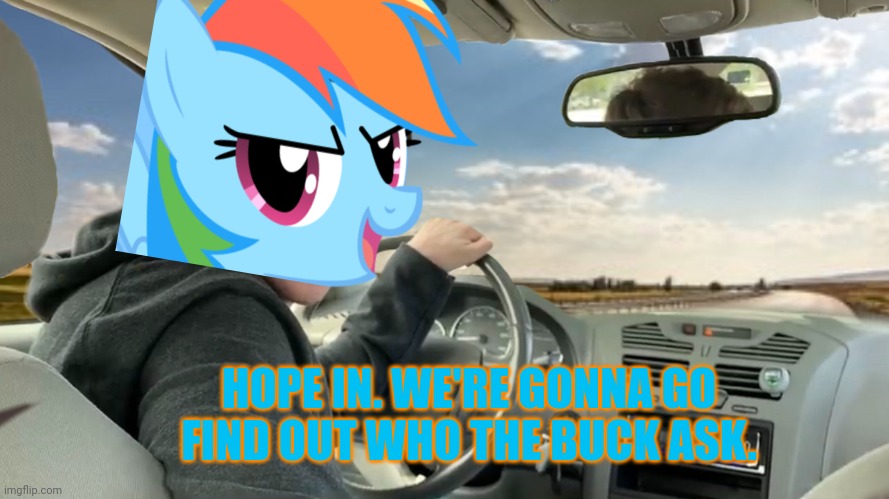 Hop in! | HOPE IN. WE'RE GONNA GO FIND OUT WHO THE BUCK ASK. | image tagged in hop in | made w/ Imgflip meme maker