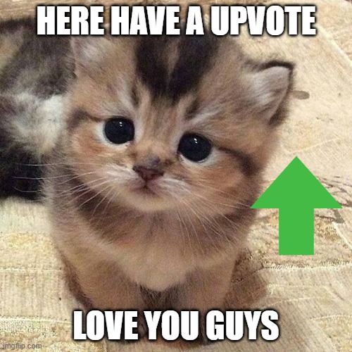 Cute kitty | HERE HAVE A UPVOTE; LOVE YOU GUYS | image tagged in cute kitty | made w/ Imgflip meme maker