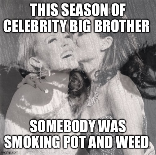 Dannii big brother |  THIS SEASON OF CELEBRITY BIG BROTHER; SOMEBODY WAS SMOKING POT AND WEED | image tagged in dannii big brother | made w/ Imgflip meme maker
