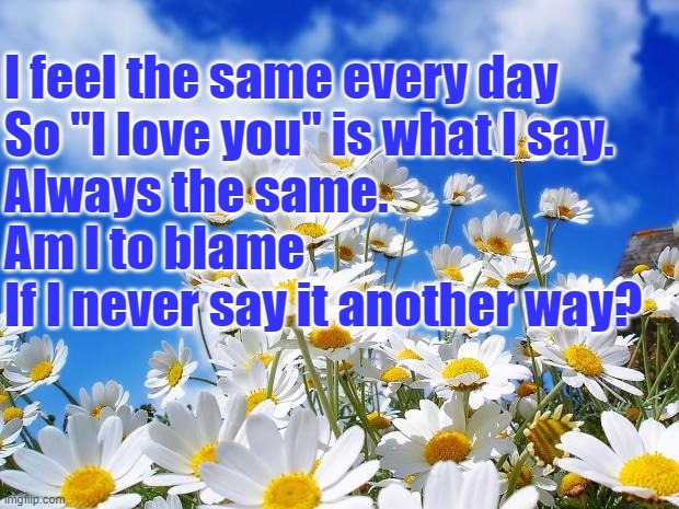 spring daisy flowers | I feel the same every day
So "I love you" is what I say.
Always the same.
Am I to blame
If I never say it another way? | image tagged in spring daisy flowers | made w/ Imgflip meme maker
