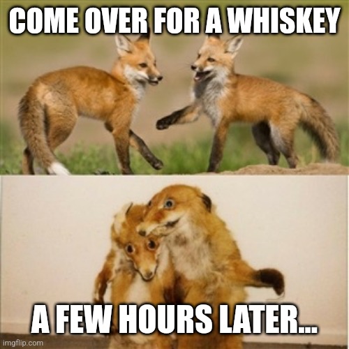 It's never just one... | COME OVER FOR A WHISKEY; A FEW HOURS LATER... | image tagged in party fox,bourbon,whiskey,drinking,late night,drunk | made w/ Imgflip meme maker