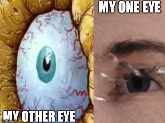 MY ONE EYE; MY OTHER EYE | made w/ Imgflip meme maker