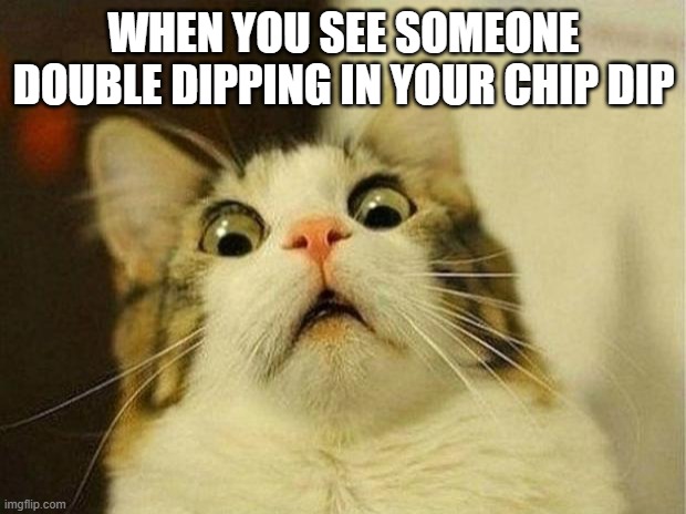 Double dipping | WHEN YOU SEE SOMEONE DOUBLE DIPPING IN YOUR CHIP DIP | image tagged in memes,scared cat | made w/ Imgflip meme maker