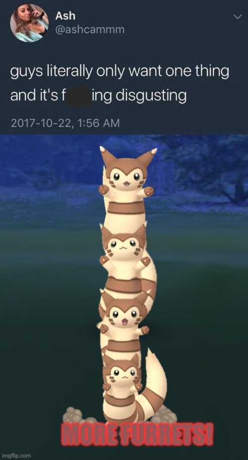 Fur | MORE FURRETS! | image tagged in guys only want one thing,furret,pokemon,more furrets,cute animals | made w/ Imgflip meme maker