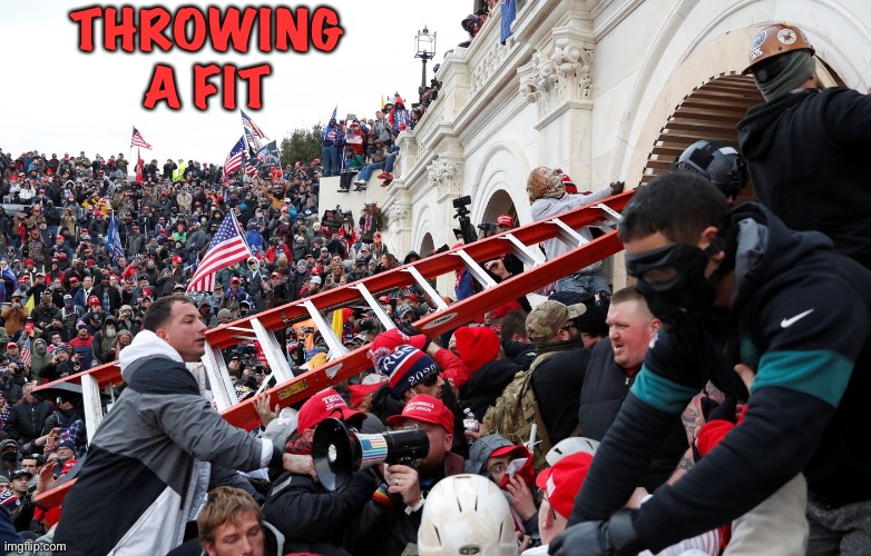 Qanon - Insurrection - Trump riot - sedition | THROWING A FIT | image tagged in qanon - insurrection - trump riot - sedition | made w/ Imgflip meme maker