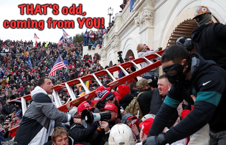Qanon - Insurrection - Trump riot - sedition | THAT'S odd, 
coming from YOU! | image tagged in qanon - insurrection - trump riot - sedition | made w/ Imgflip meme maker