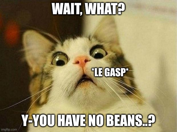 Bean Cat | WAIT, WHAT? *LE GASP*; Y-YOU HAVE NO BEANS..? | image tagged in memes,scared cat | made w/ Imgflip meme maker